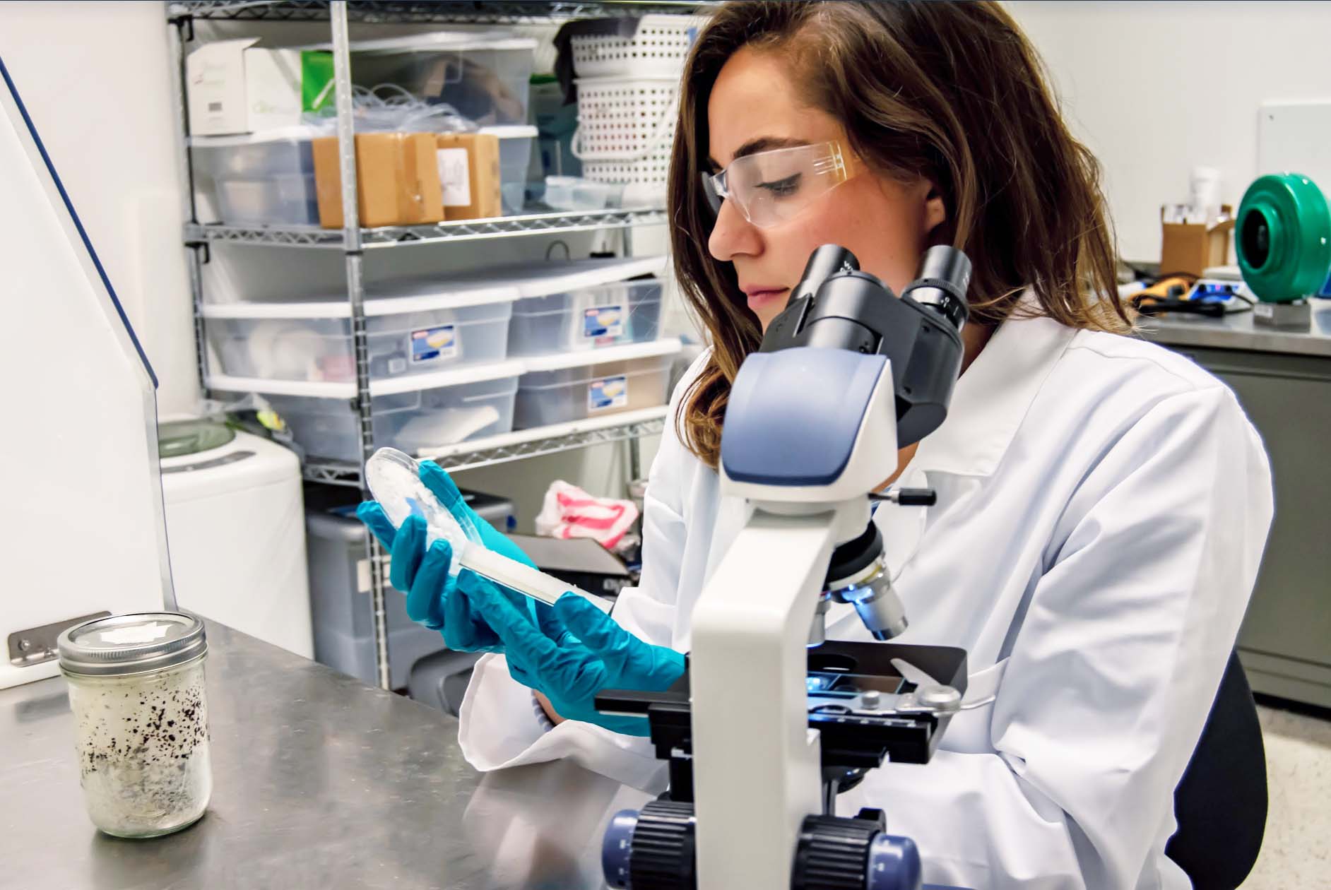 Michelle Ruiz works in a lab