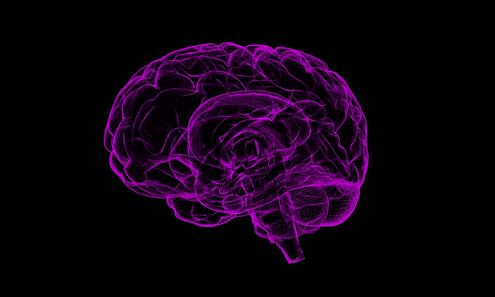 purple outline of human brain on black background