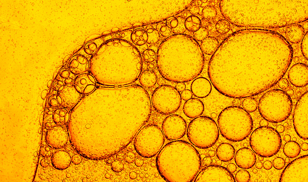 Various sized, golden-yellow color bubbles of oil and water