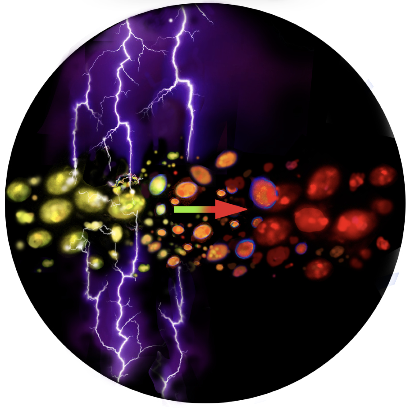 graphical abstract of electric current affecting the physiology of persister cells