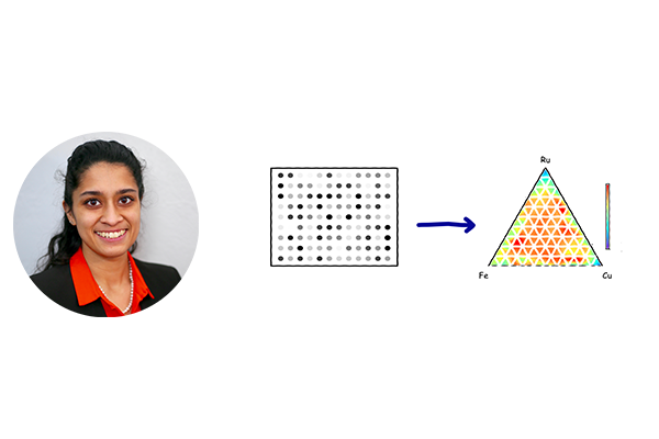 Maya Bhat; research diagram
